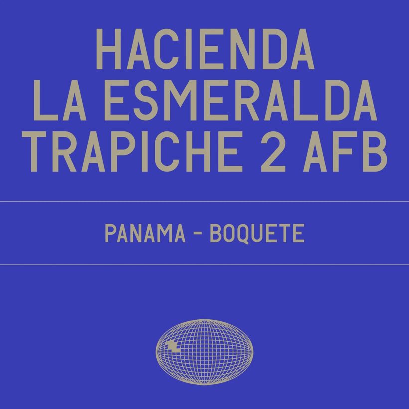 Datura Trapiche — a recent add-on