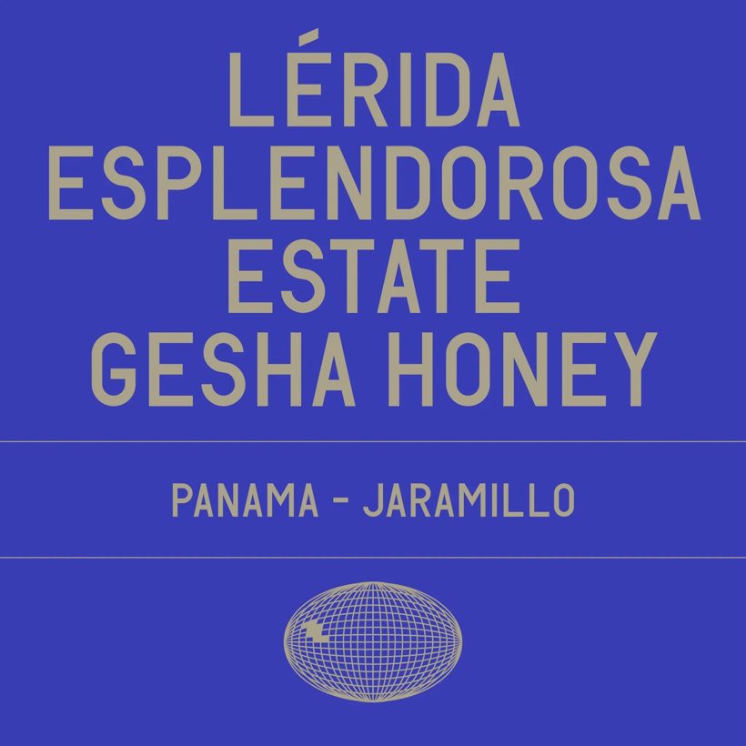 Datura Lérida — a recent add-on