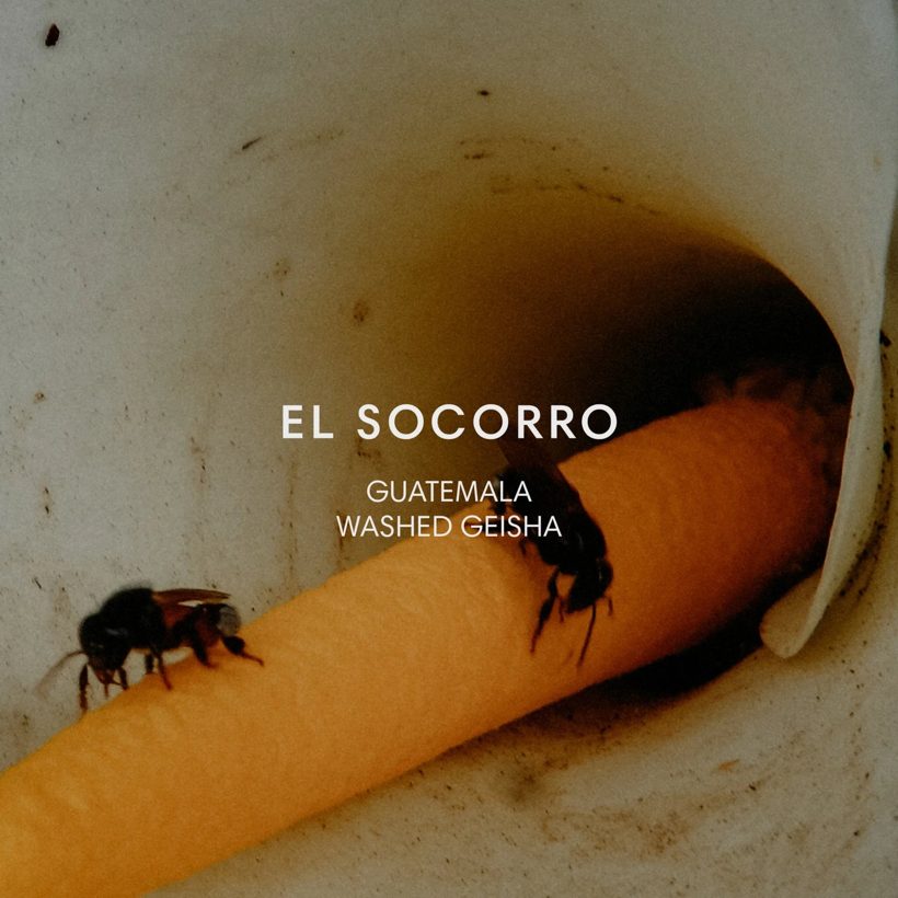 Mazelab El Socorro — a recent add-on