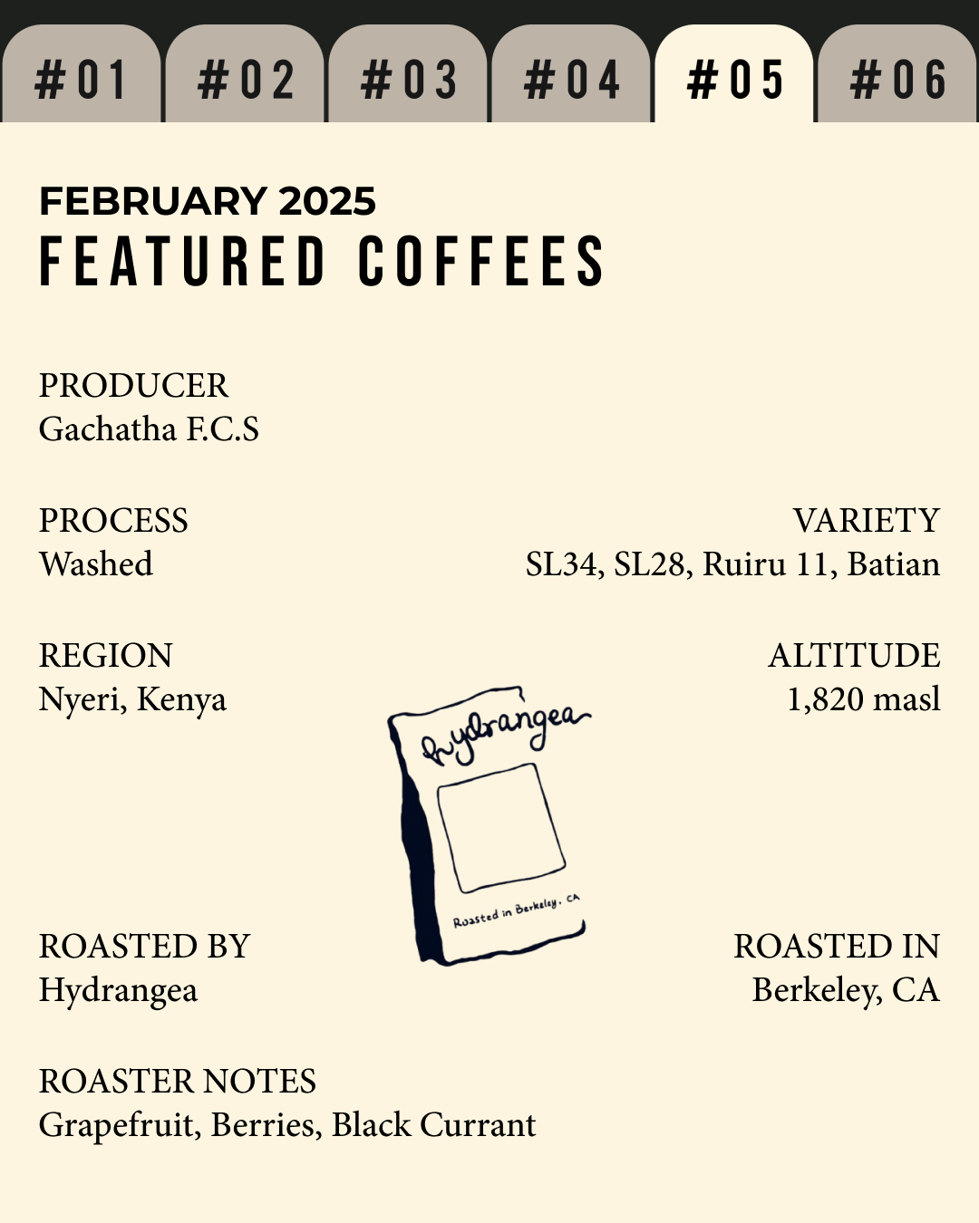 Volume 4, February 2025 — feature #05