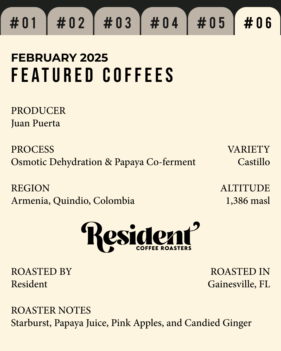 Volume 4, February 2025 — feature #06