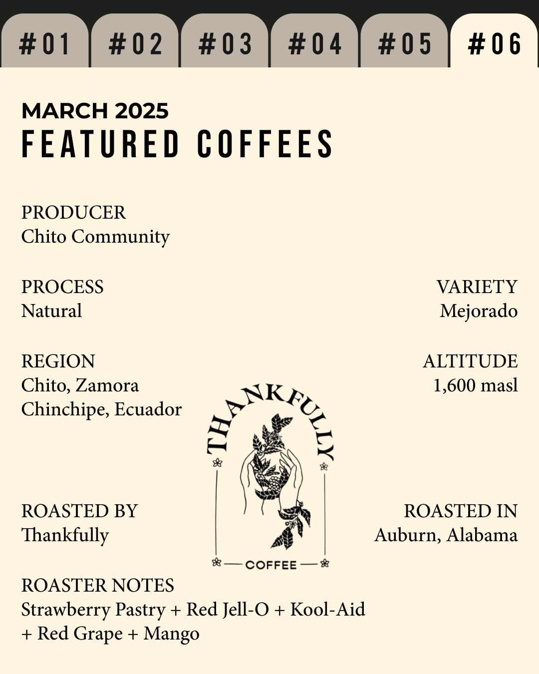 Volume 5, March 2025 — feature #06