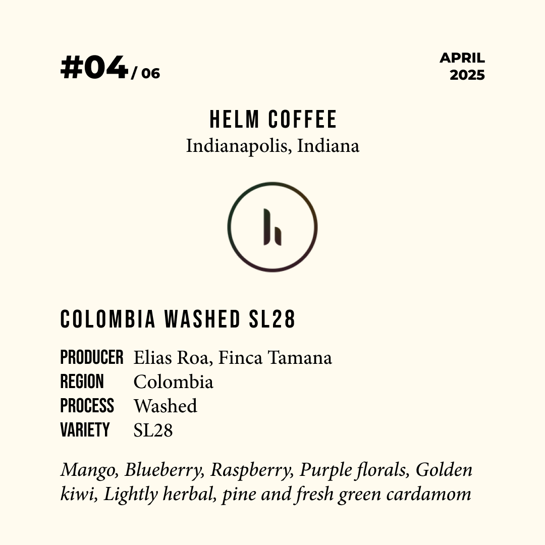 Volume 6, April 2025 — feature #04