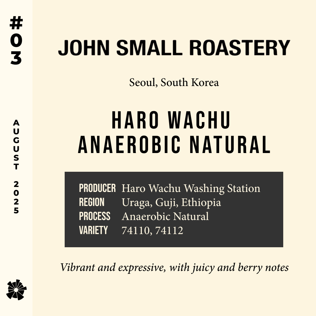 Volume 10, August 2025 — feature #03
