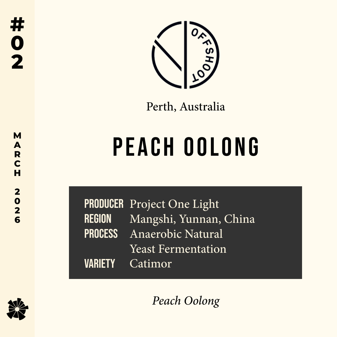 Volume 17, March 2026 — feature #02